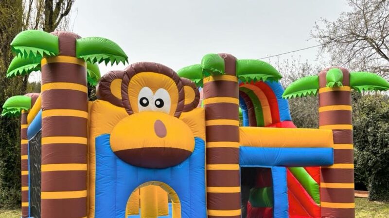 Funny Kids Event Location de structures gonflables Jungle Monkey